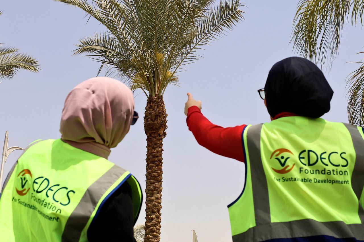 EDECS & Shagarha Lead Sustainable Palm Pollination Initiative in Obour City